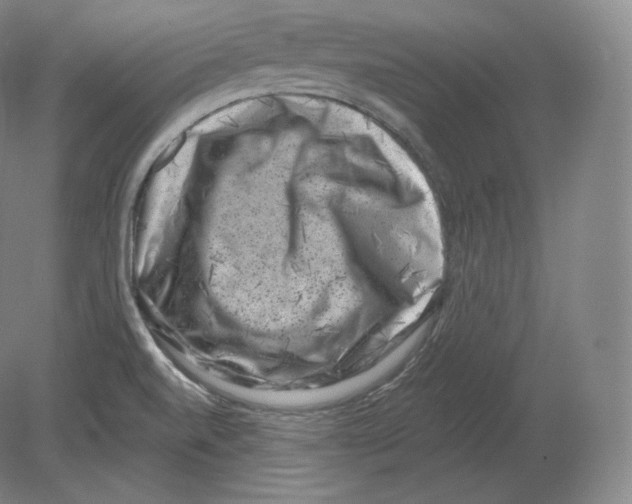 X0000080181520200701051644