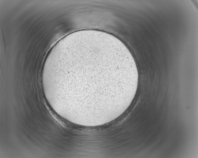 X0000080181521200701051644