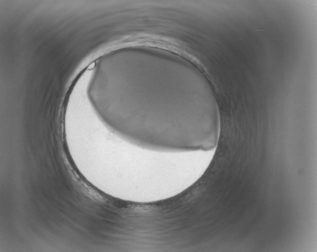 X0000080181522200701051644