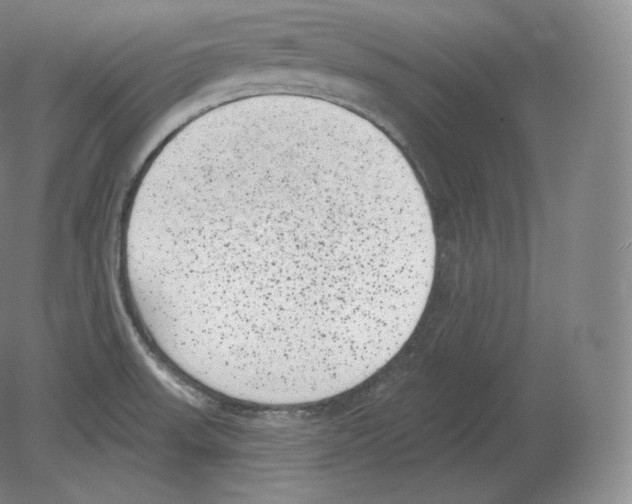 X0000080181523200701051644