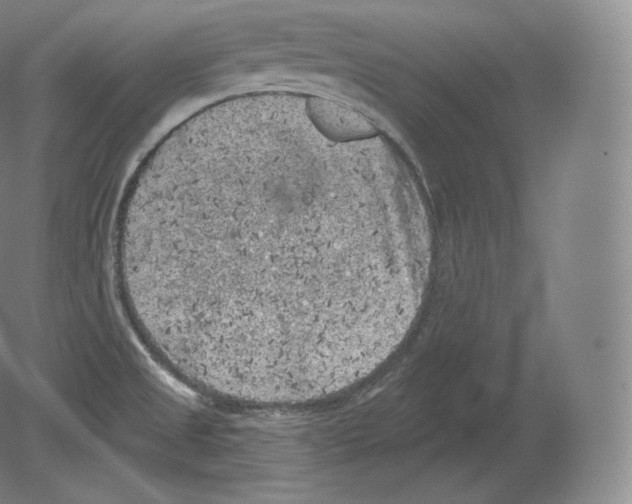 X0000080181525200701051644