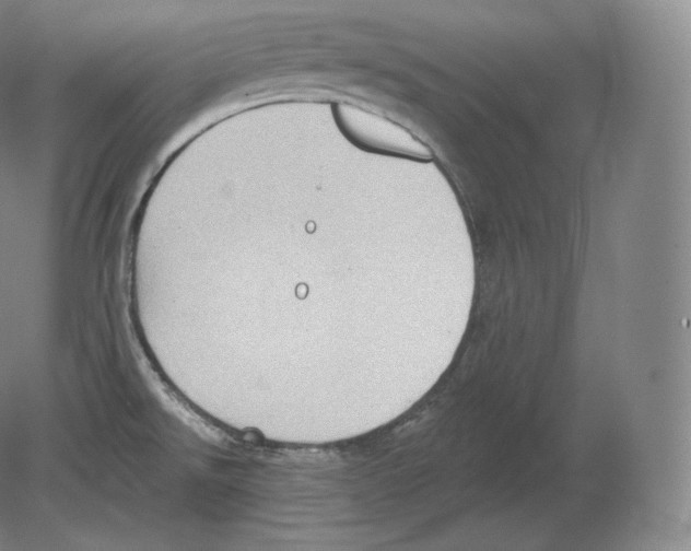 X0000080181526200701051644