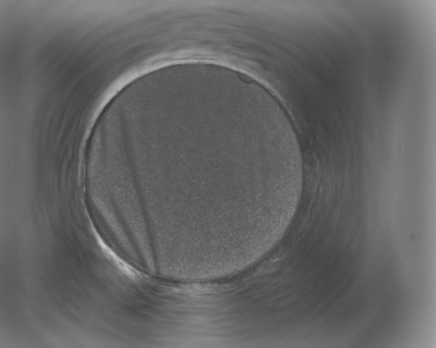 X0000080181527200701051644