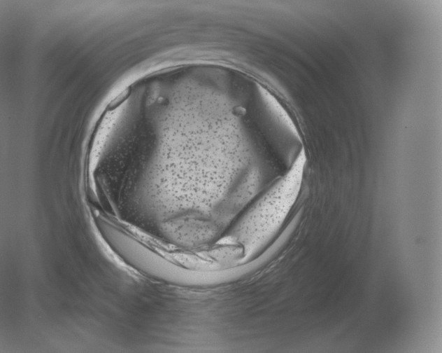 X0000080181528200701051644