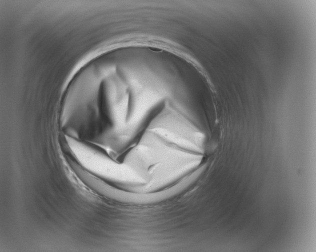 X0000080181530200701051644