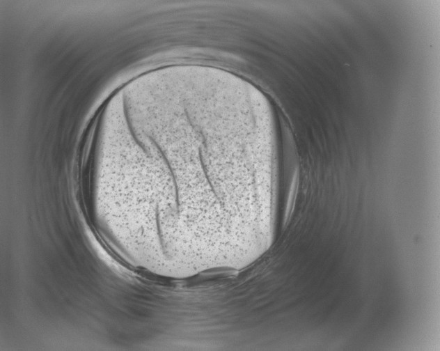 X0000080181531200701051644