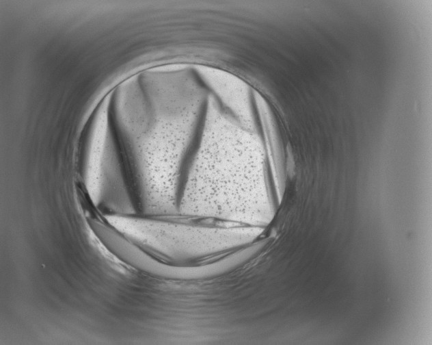 X0000080181532200701051644