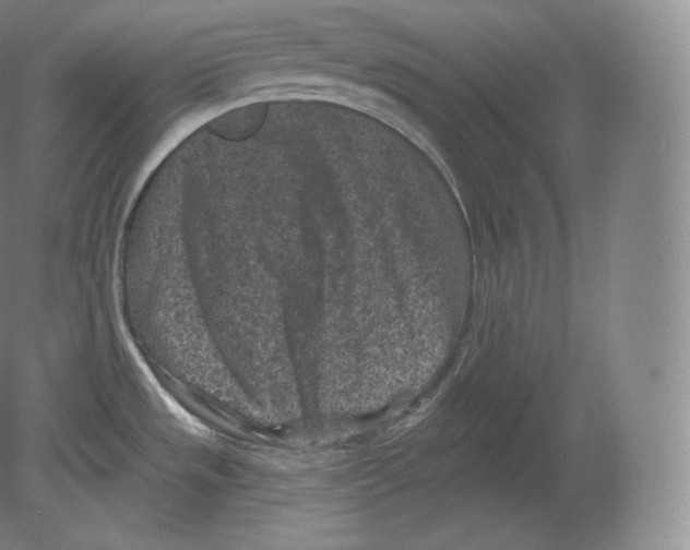 X0000080181533200701051644