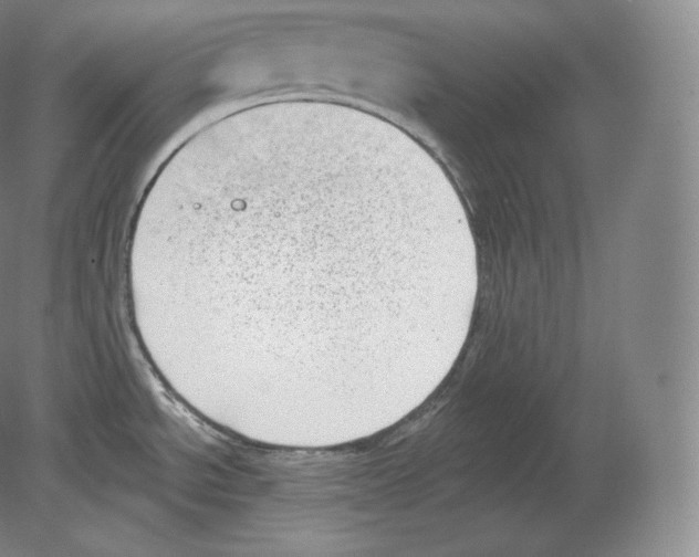 X0000080181534200701051644