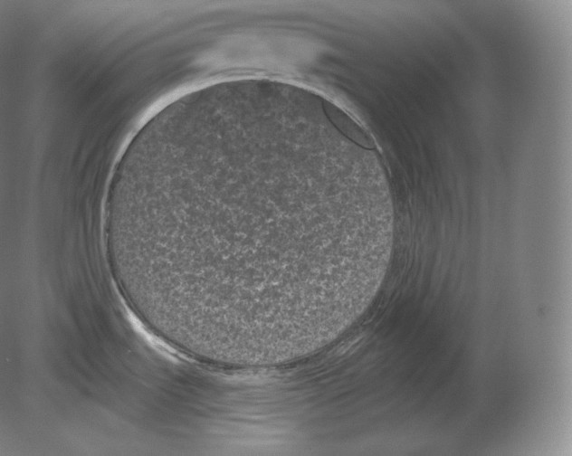 X0000080181535200701051644