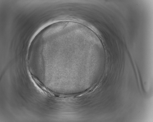 X0000080181536200701051644