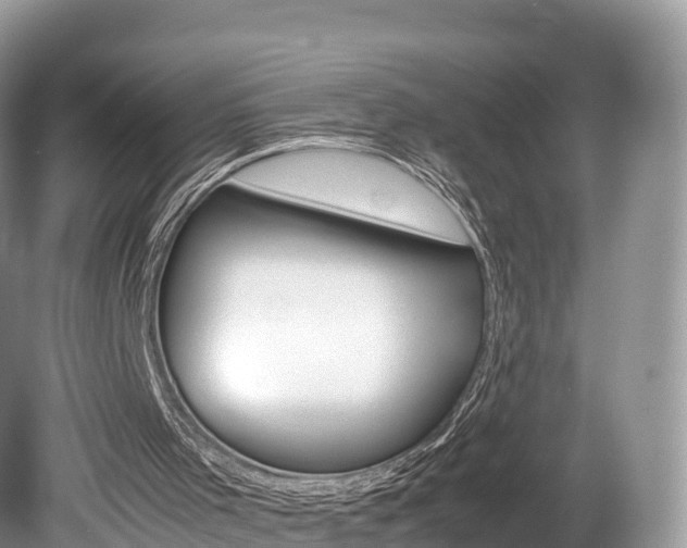 X0000080190001200612081212