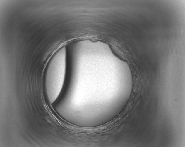 X0000080190002200612081212