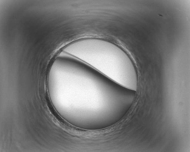 X0000080190011200612081212