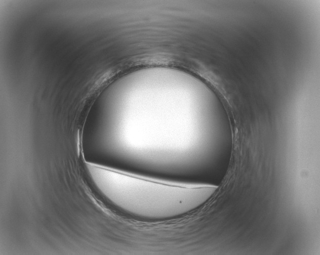 X0000080190013200612081212