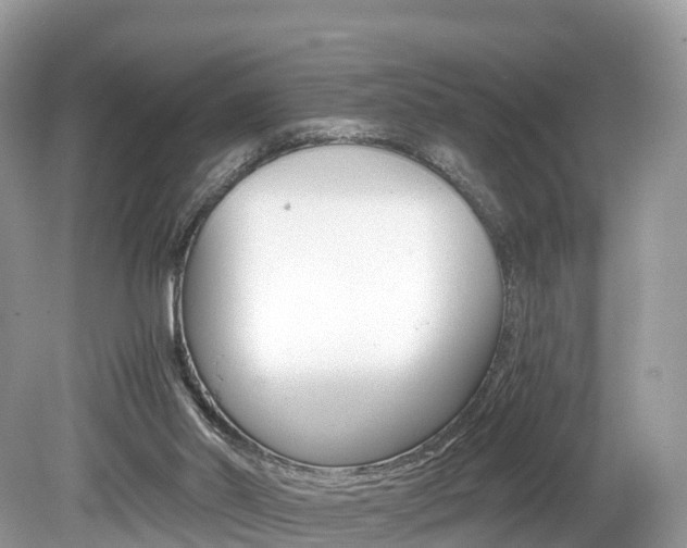 X0000080190014200612081212