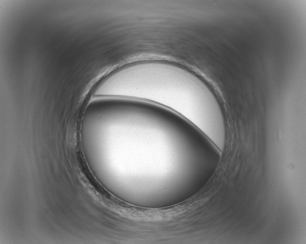 X0000080190015200612081212