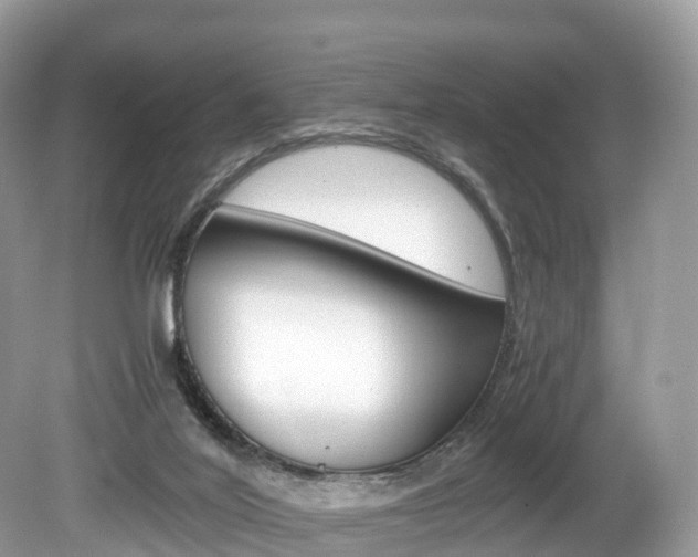 X0000080190020200612081212