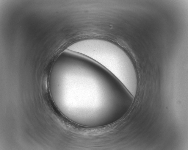 X0000080190021200612081212
