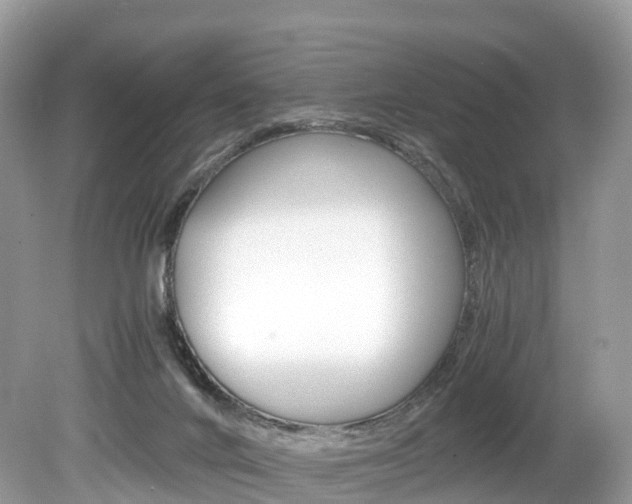 X0000080190024200612081212