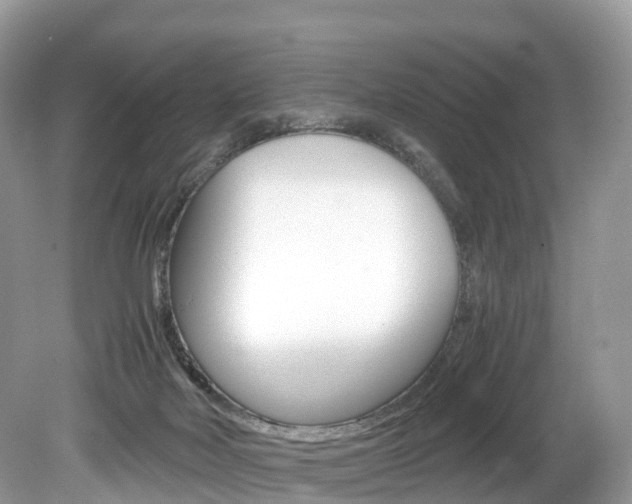 X0000080190026200612081212