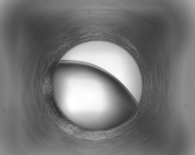 X0000080190029200612081211