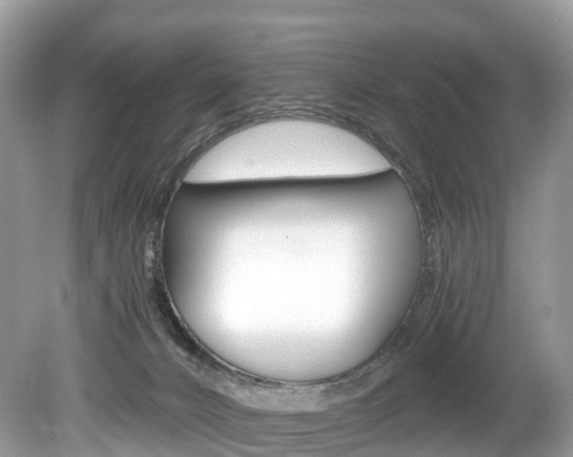 X0000080190032200612081211