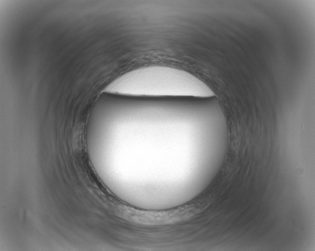 X0000080190034200612081211
