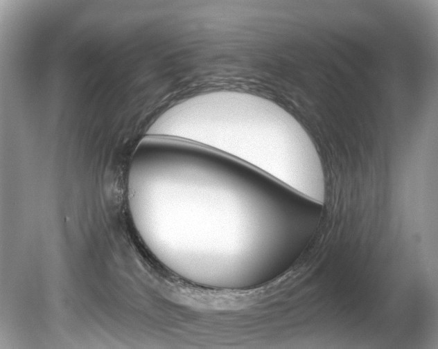 X0000080190040200612081211