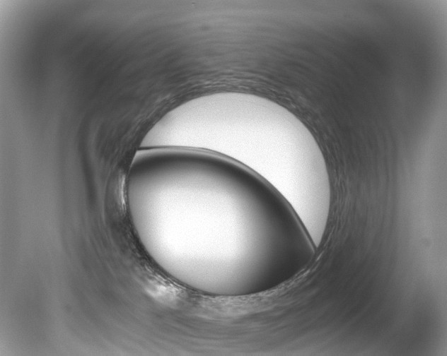 X0000080190041200612081211