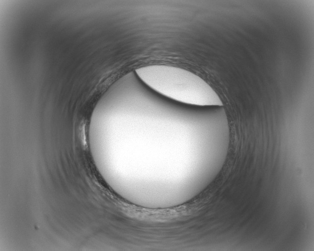 X0000080190042200612081211