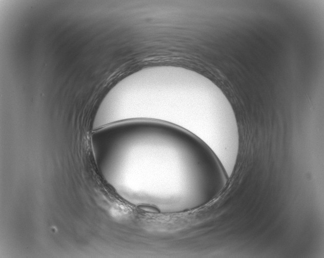 X0000080190045200612081211