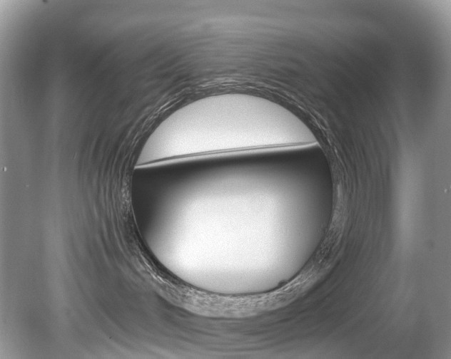 X0000080190048200612081211