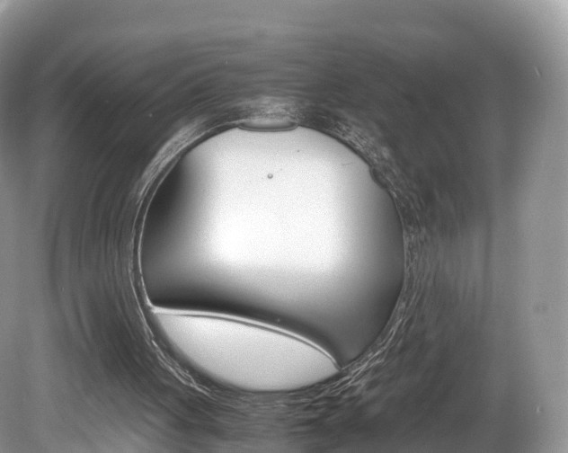 X0000080190051200612081210