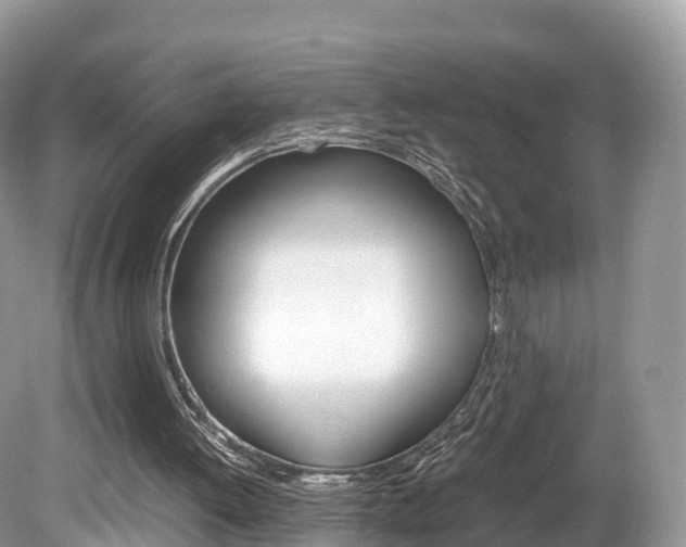 X0000080190052200612081210