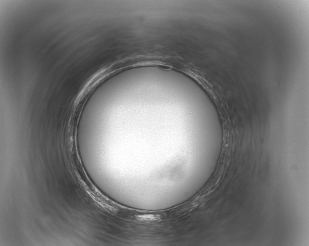 X0000080190053200612081210