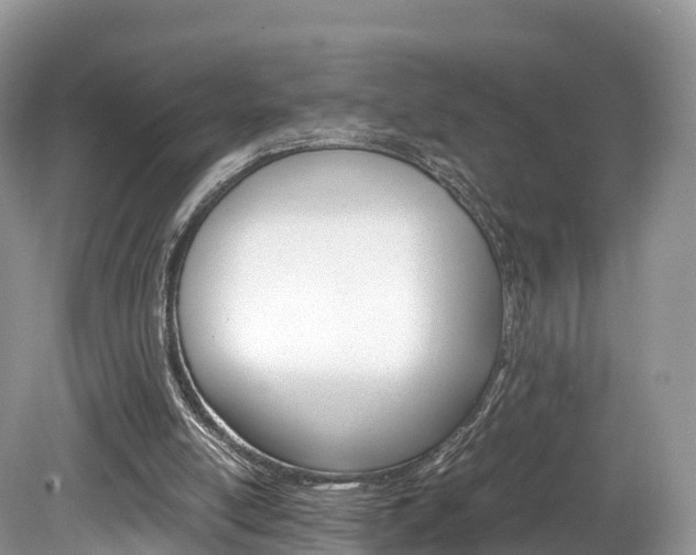 X0000080190054200612081210
