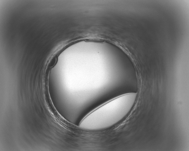X0000080190055200612081210