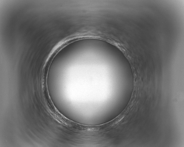 X0000080190056200612081210