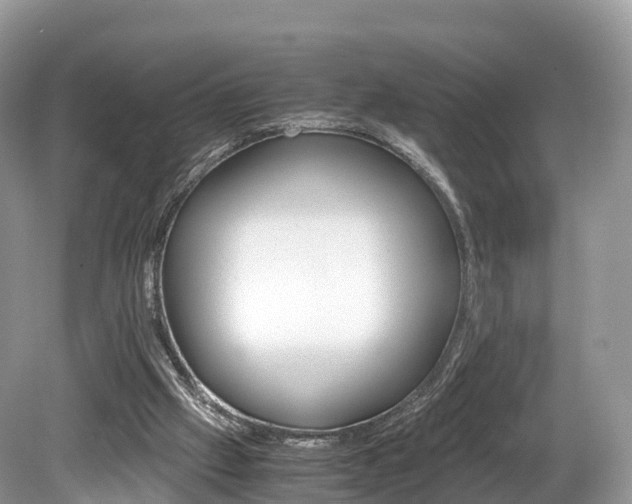 X0000080190057200612081210