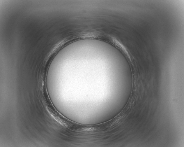 X0000080190059200612081211