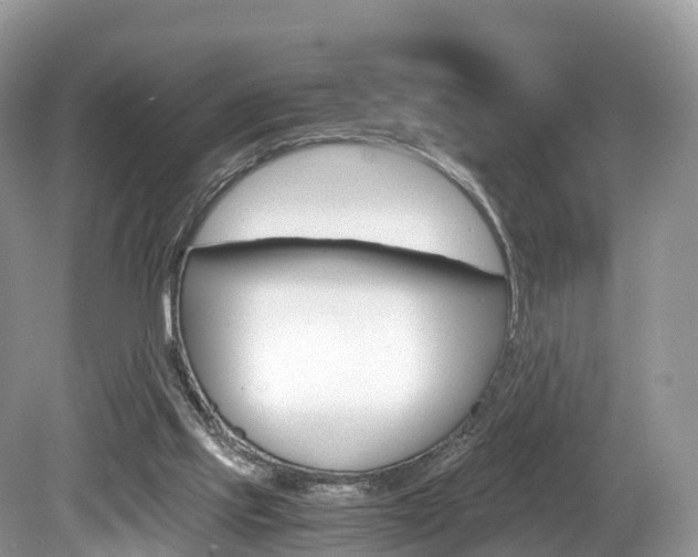 X0000080190061200612081211
