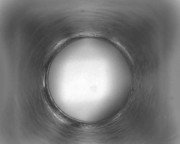 X0000080190062200612081211