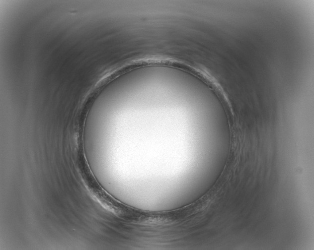 X0000080190063200612081211