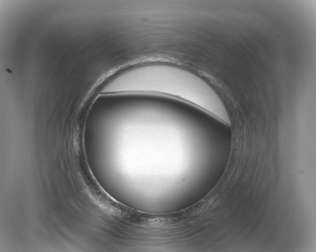 X0000080190064200612081211