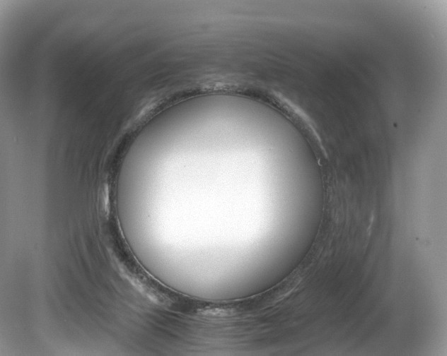 X0000080190067200612081211