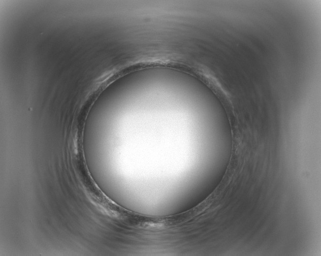 X0000080190068200612081211