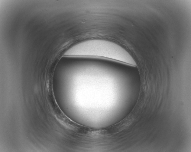 X0000080190072200612081211