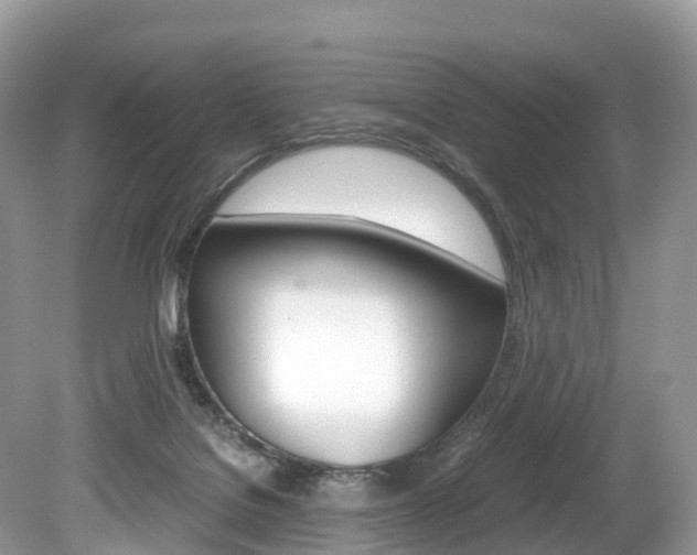 X0000080190076200612081211