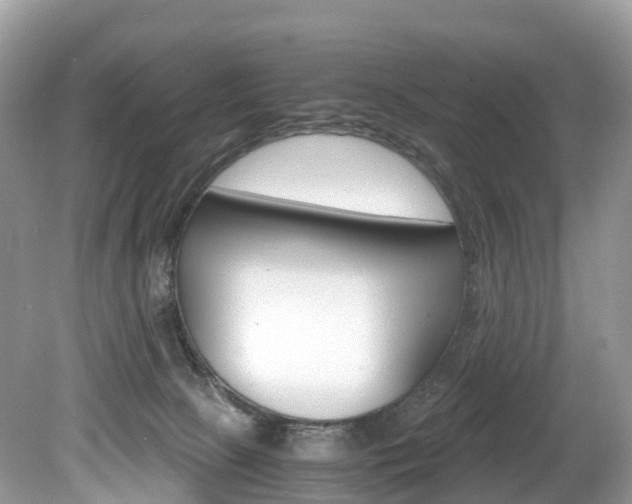 X0000080190081200612081211